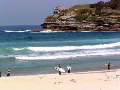 Bondi11.jpg