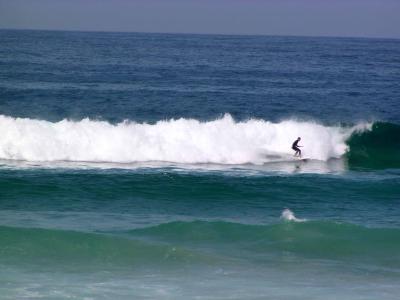Bondi14.jpg