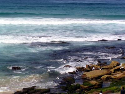 Bondi17.jpg