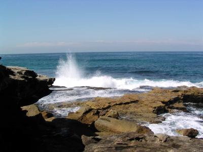 Bondi22.jpg