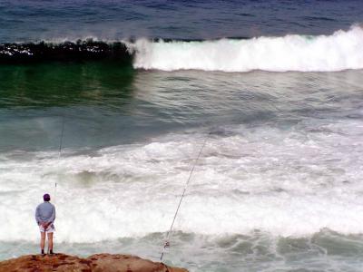 Bondi35.jpg