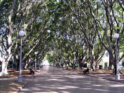 Hyde Park1.jpg