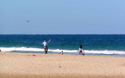 Wollongong12.jpg