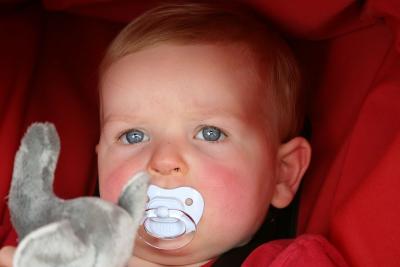 James and the elephant 2
