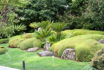Japanese garden 1
