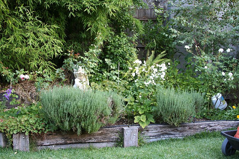 Grandmas garden
