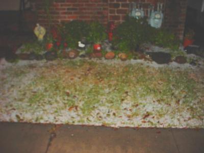 SnowGarden.jpg