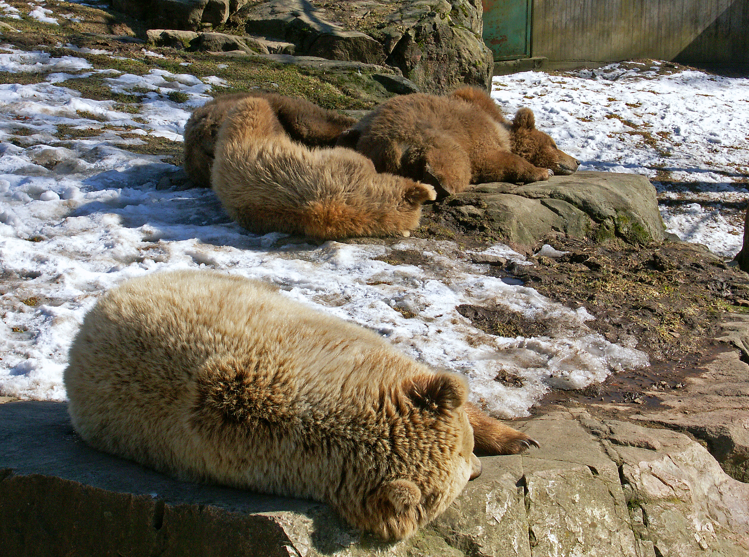 Sknes Djurpark: http://skanesdjurpark.se