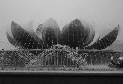 Quan Cheng Springbrunnen / Fountain 4