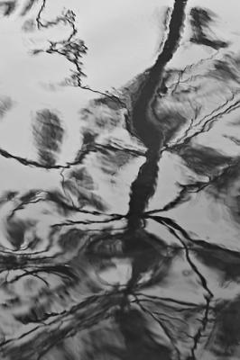 reflections.jpg