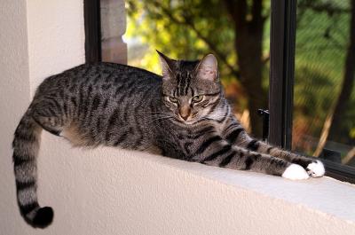 Heidi at front window