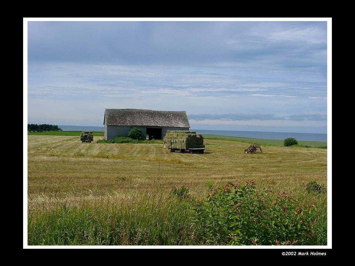 Farm country in PEI