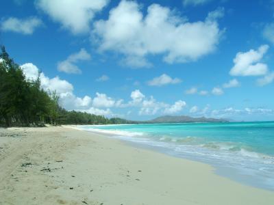 Windward Coast