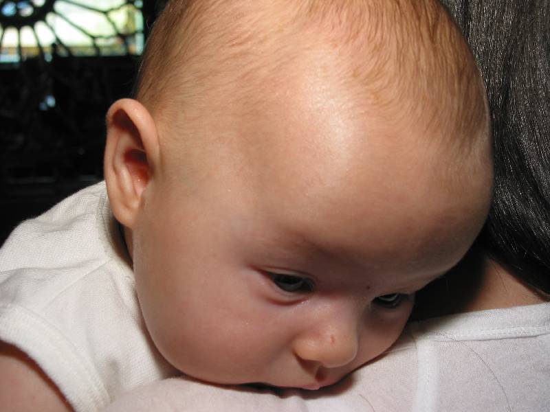 311-1136_IMG.JPG
