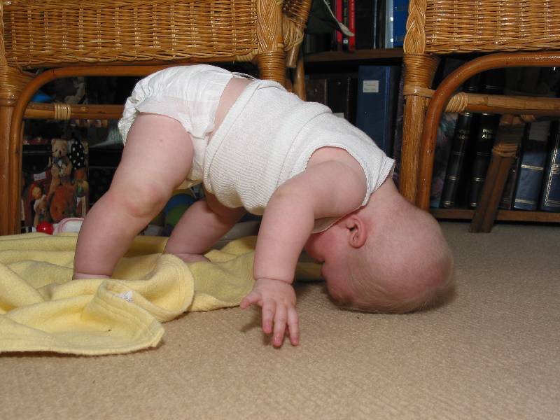 headstand anyone?