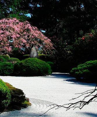 JapaneseGarden_5245.jpg