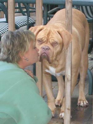 the_kiss.jpg