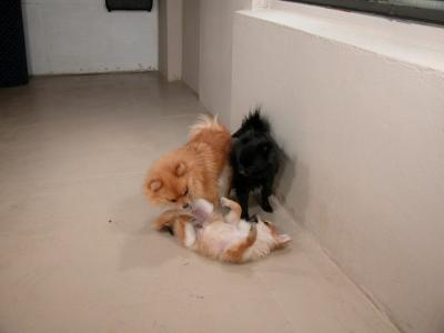 Dec3_02_478.JPG