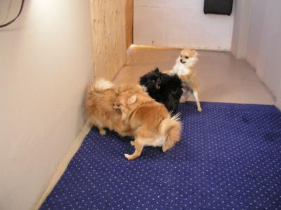 Dec3a_02_105.JPG
