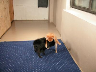 Dec3a_02_564.JPG