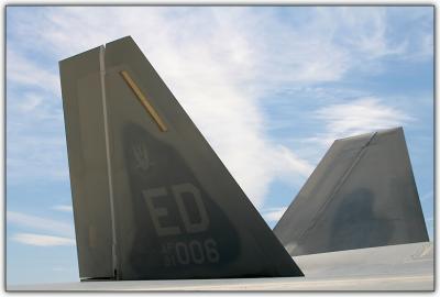 Raptor Tail Feathers