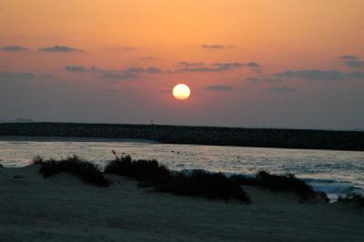 u10/bmcmorrow/medium/37834491.dubaidec747.jpg