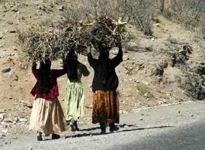 More women carrying bundles of wood
