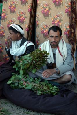 Yemenis chew Qat, a stimulant