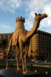 Camel in front of the Dubai Municipality