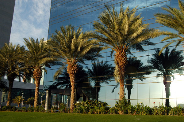 Palm trees reflected in the Dubai Chamber of Commerce and Industry