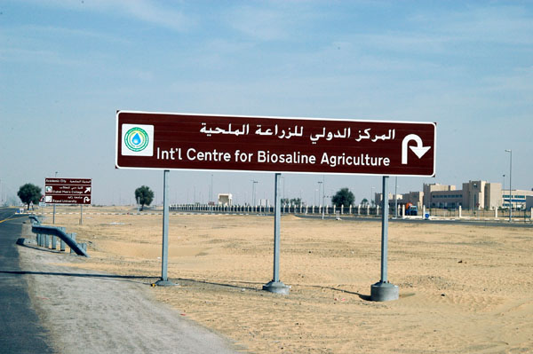 International Center for Biosaline Agriculture, Academic City