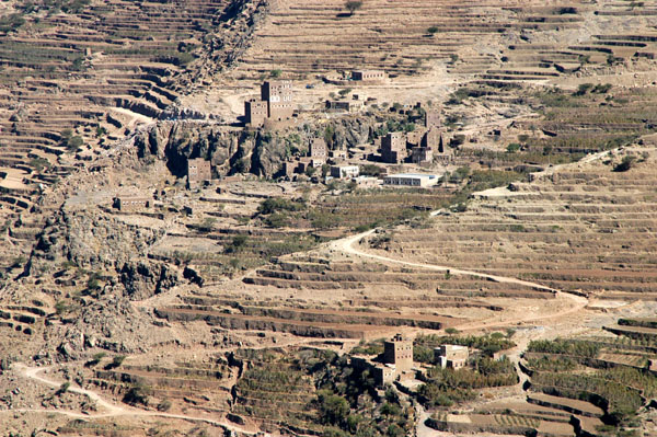 Terraced fields, Sana'a to Manakha