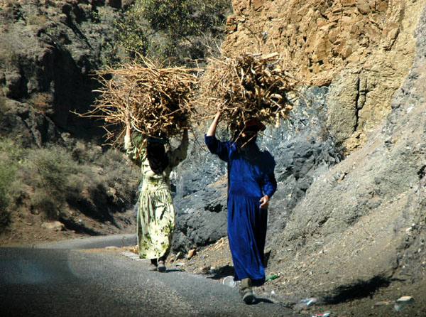 Yemeni women carrying bundles of firewood