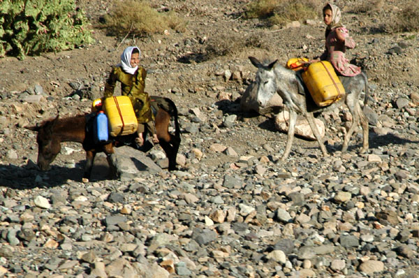 Donkey's and riders, Yemen