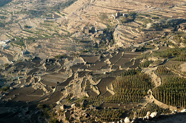 Terraced fields between Manakha and Sana'a