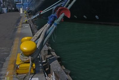 Mooring Lines