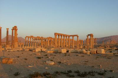 029 - Palmyra, dawn