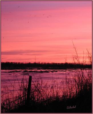 Sunset on the Platte River 2005
