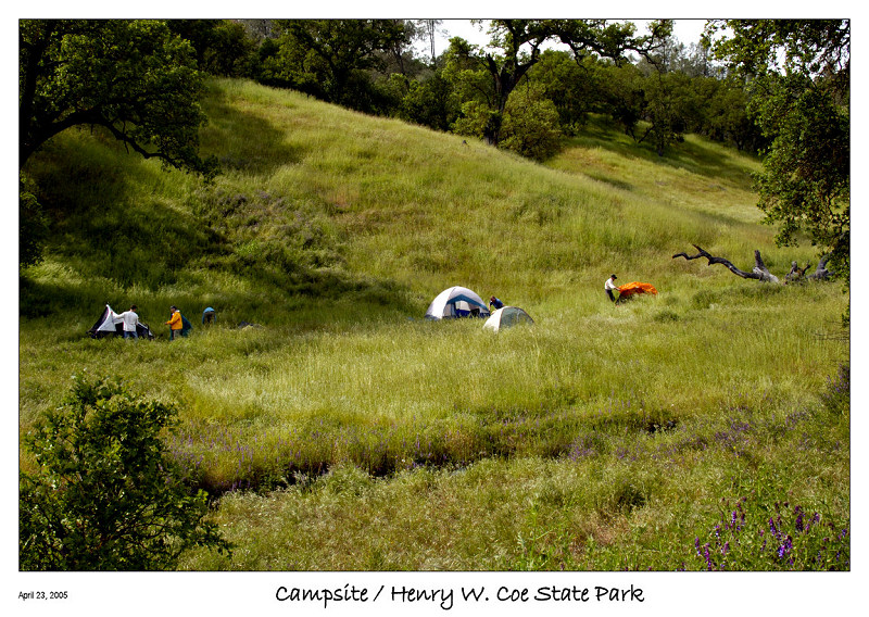 Setting up our Camp Site