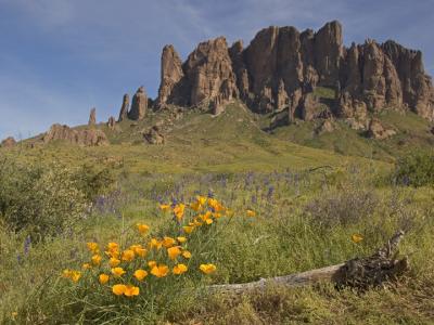 Superstition Mtn