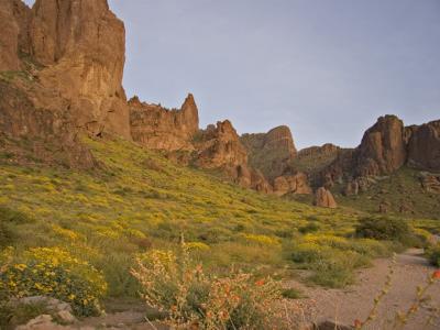 Flatiron from below