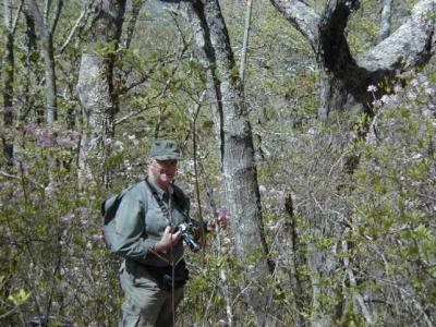 Ed Collins on Pilot Mountain