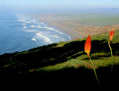 u10/bucsela/medium/37805672.PointReyes2x.jpg