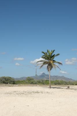 IMG_1246.jpg