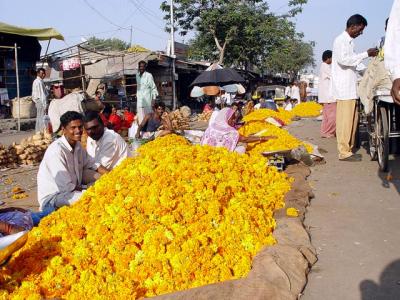 u10/bvcuma/medium/21991093.flowerwalas.jpg