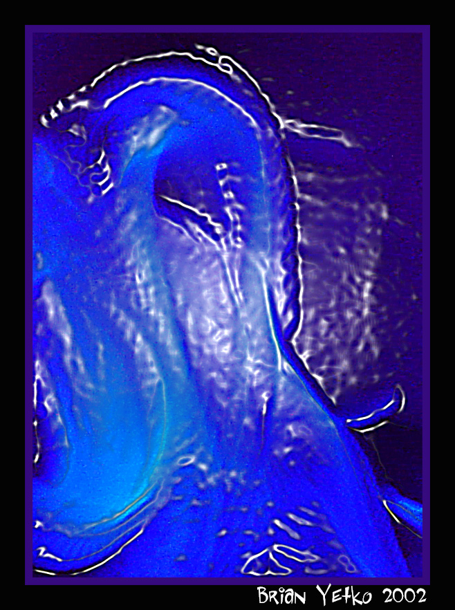 Liquid