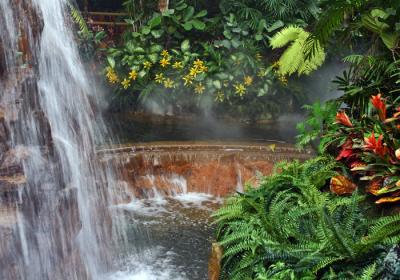 Exotic Waterfall