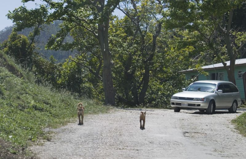 Traffic near Mayfield Falls