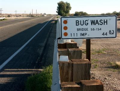 Bug Wash