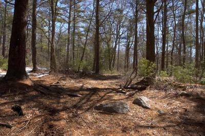 slt_oldrrtrail_089.jpg
